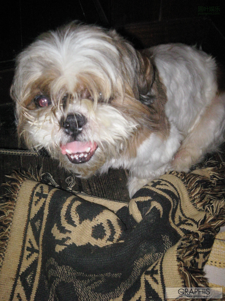 (2009 - 12 - 18) AKIYAMA Shouko (秋山祥子) - Lucky