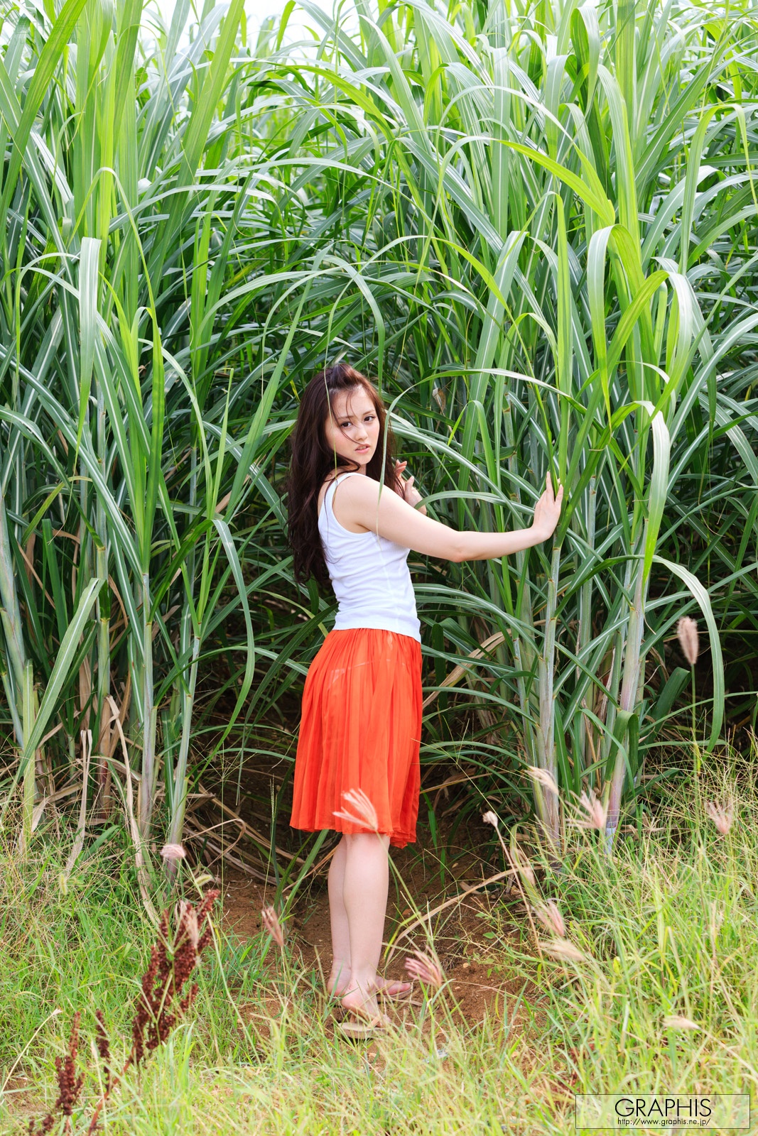 (2013 - 08 - 30) ITOU Beni (伊东红)