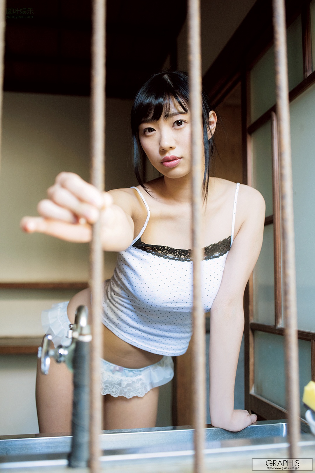 (2017 - 06 - 23) KIRITANI Matsuri (桐谷まつり) - Primula Julian