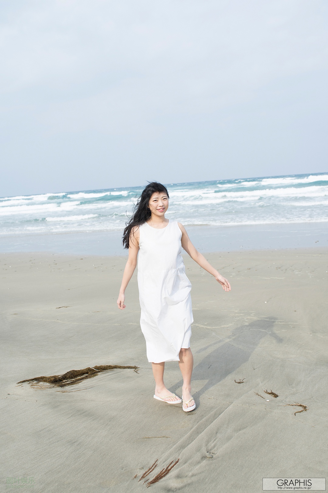 (2017 - 06 - 23) KIRITANI Matsuri (桐谷まつり) - Primula Julian