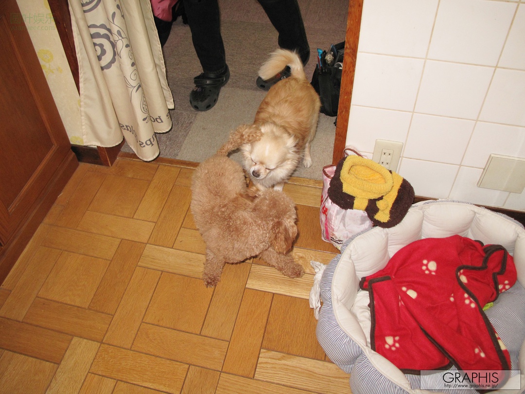 (2012 - 03 - 09) Meguri (めぐり) - Encounters