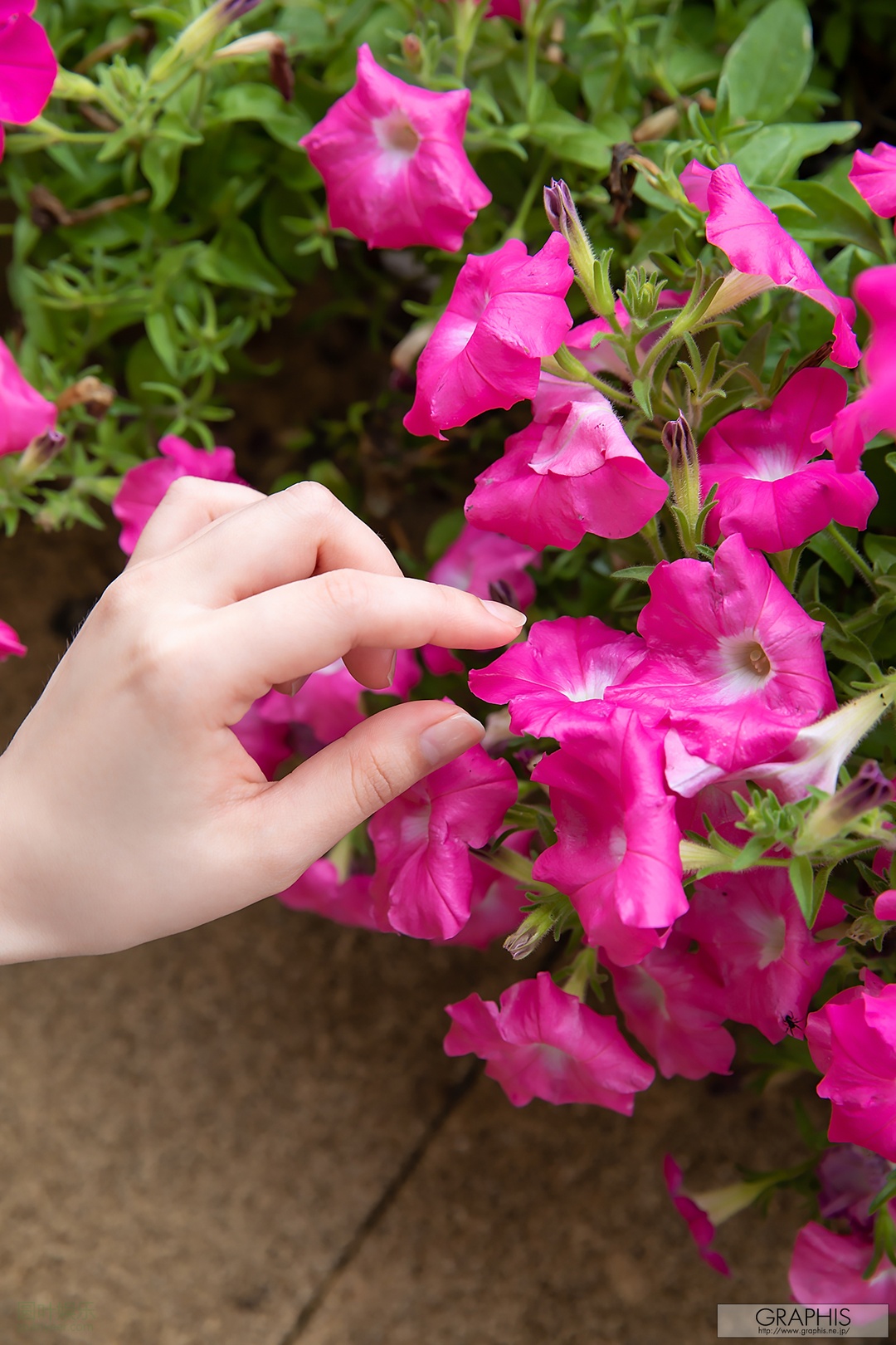 (2018 - 09 - 07) OGURA Yuna (小仓由菜) - Yunacent Cute