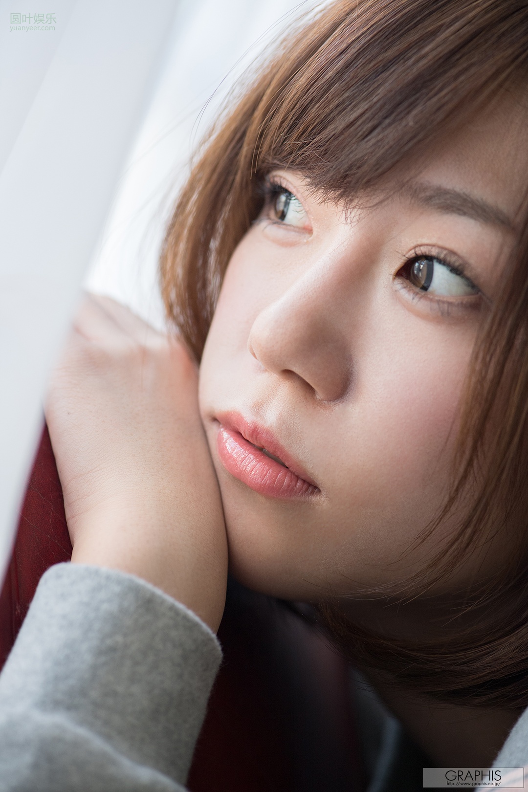 (2016 - 11 - 18) Tsubasa (翼)封面图片