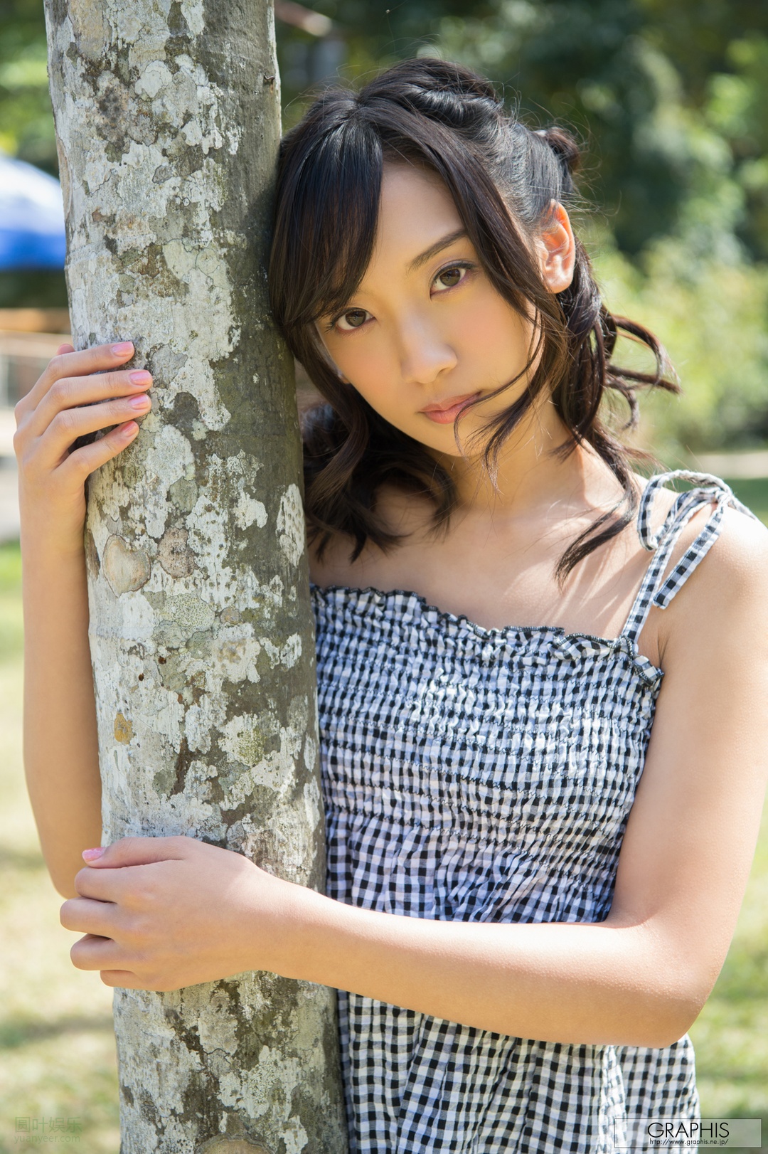 辻本杏经典作品编码及封面合集 辻本杏经典作品编码及封面合集