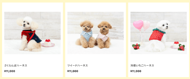 自己写企划自己跑案子……小島みなみ(小岛南)创业当社长了！-图片5