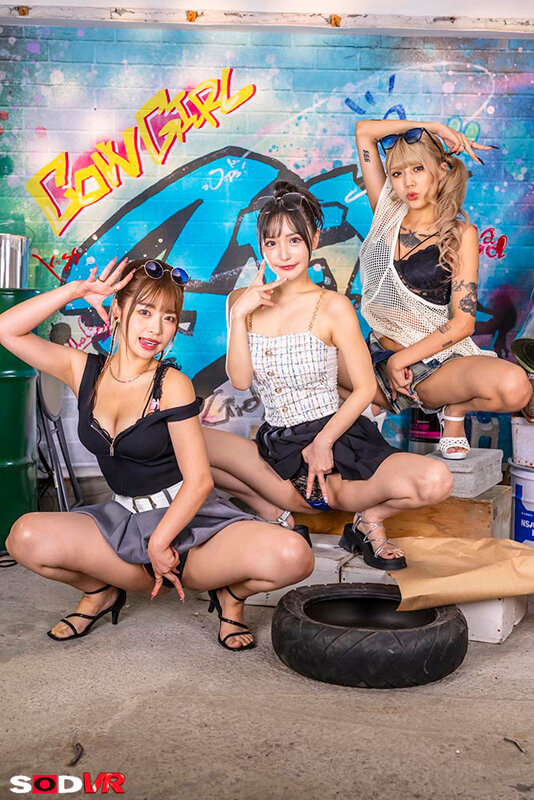 椿りか（椿莉香），百永さりな（百永纱里奈），鳳カレン（凤可怜），共演作品DSVR-1692发布，封面及作品信息！-封面