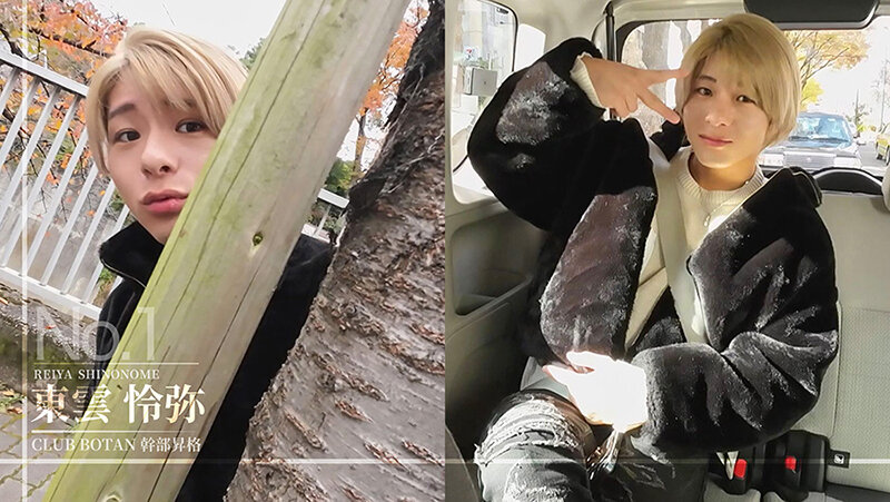 氷堂りりあ（冰堂梨梨爱），東雲怜弥，共演作品TLDC-027发布，封面及作品信息！