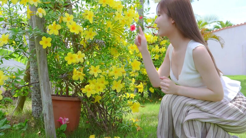 miru（坂道美琉）作品REBD-988发布，封面及作品信息！