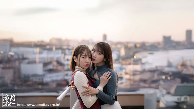 西元めいさ（西元明沙），友田彩也香，共演作品MFYD-036发布，封面及作品信息！