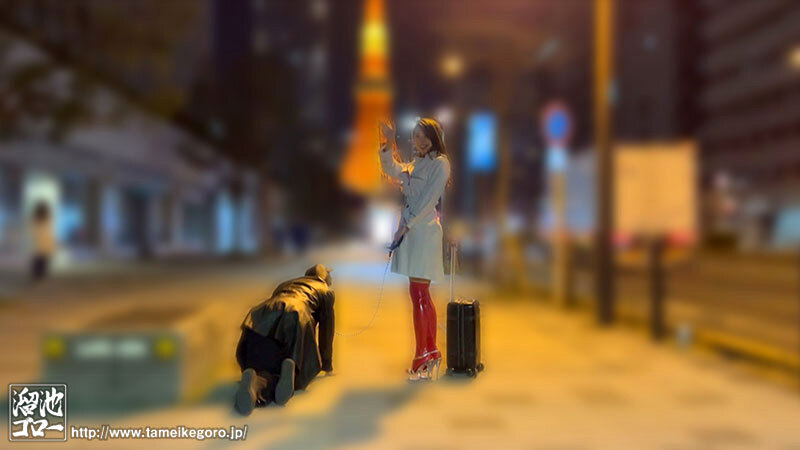 花宮きょうこ（花宫京子）作品OFES-024发布，封面及作品信息！-封面