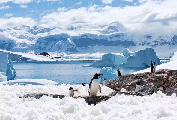 南极玩家指南――入门篇