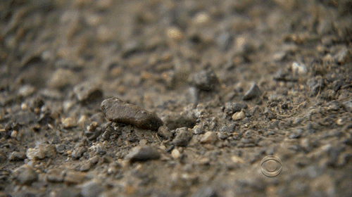 性竞争中的有力武器