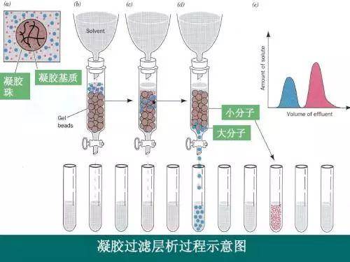 我身边那些“迷信有趣”的生物学博士生