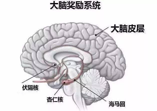 弯的有方法能掰直吗？