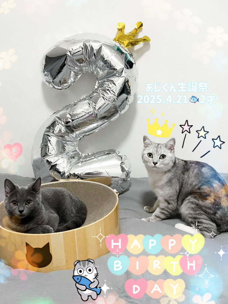 悲剧了！男粉花60万买偶像《远月冬花》约会机会！同行工作人员竟是她老公！