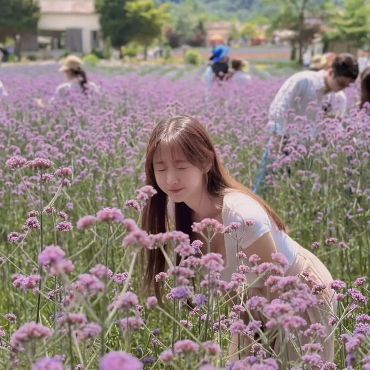 美丽的有料画家《둘기얏1004yyyyyy》热爱记录生活！好身材衬托美景！