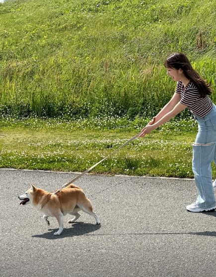 有养柴犬的美女《小柴あいり》也是小狗可爱颜！阳光美少女的形象代表！
