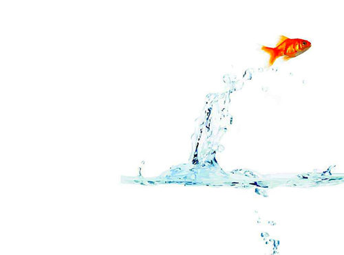 1537872055635364.jpg timg (11).jpg