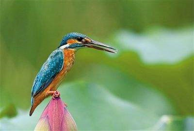 1537840023108728.jpg timg (3).jpg