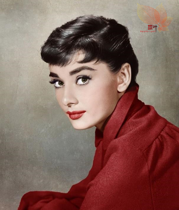 1570195289614838.jpg 圆叶大文娱6.jpg