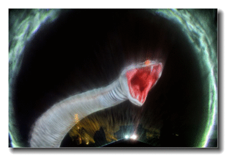 《白蛇传》原型是一个恐怖故事哦!