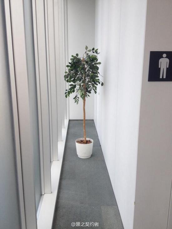 内涵图：惨不忍睹的贫乳大赛