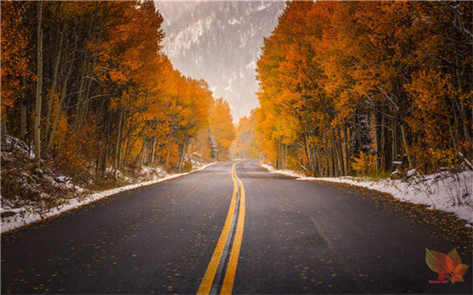 1574078821503428.jpg 壁纸精选 (218).jpg