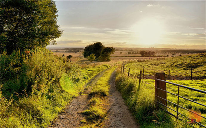 1574078544481095.jpg 壁纸精选 (217).jpg