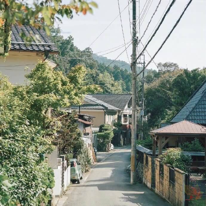 晚安心情文字191105：我保持可爱，你保持爱我，其他人保持闭嘴