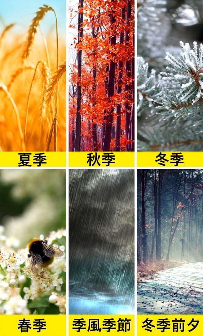 《１５个印度的神奇文化》，没想到留八字胡老板还会帮你加年终？
