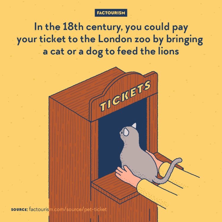 1577194021305052.jpeg b1764a6ea2f0466091a5ea94e40072c0.jpeg