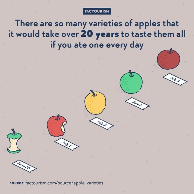 1577194089133183.jpeg 《世界有趣冷知识》,人类的『死亡率』在生日当天会比普通日子高14%~