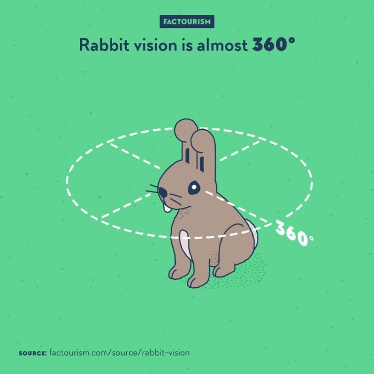 1577194089107876.jpeg 《世界有趣冷知识》,人类的『死亡率』在生日当天会比普通日子高14%~