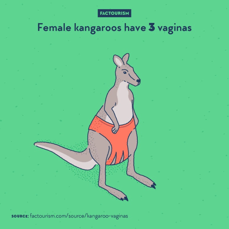 1577194091102940.jpeg 《世界有趣冷知识》,人类的『死亡率』在生日当天会比普通日子高14%~