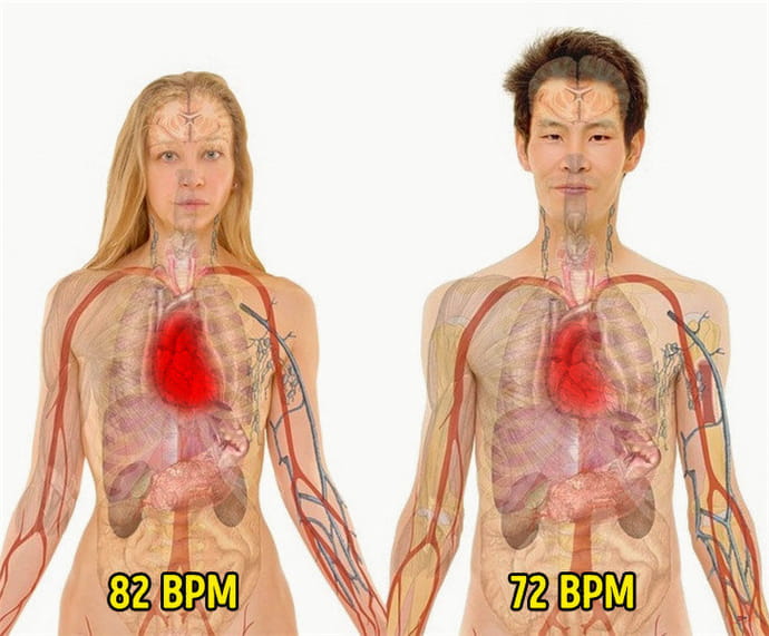 《人类有趣知识》,原来男人真有可能有「女乃水」!