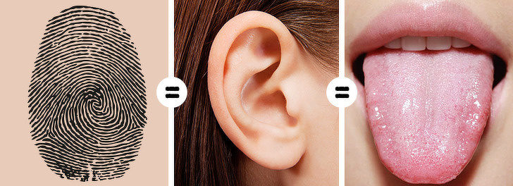 1577195189578476.jpeg f79dcce02afb4f52b3dde64afb0a167e.jpeg