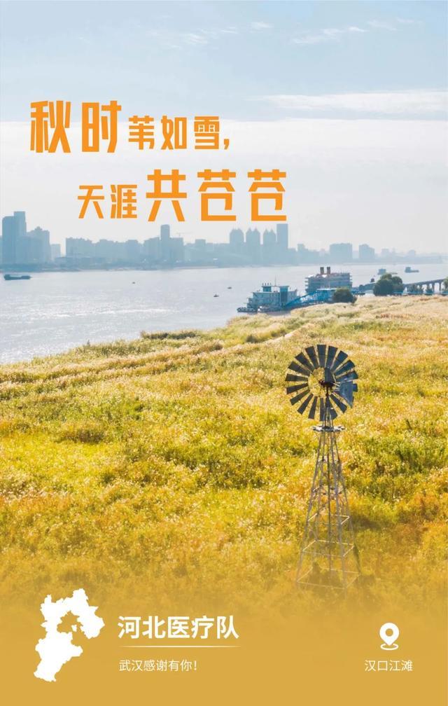31省市支援湖北海报