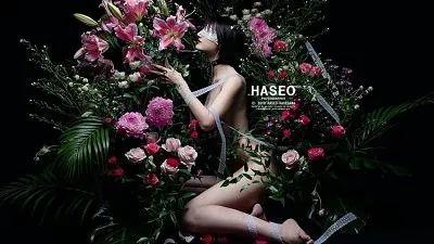 日本成人写真杂志的崛起与凉凉