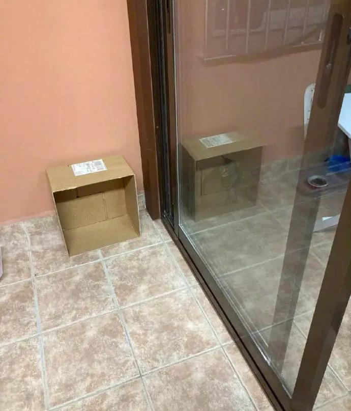 【20200815】我的2020,一脸懵逼