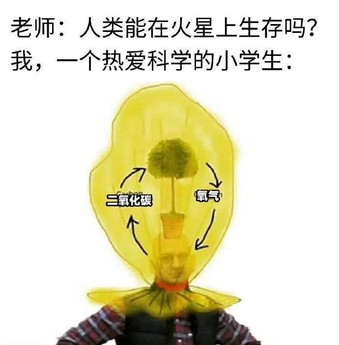 【20200815】我的2020,一脸懵逼