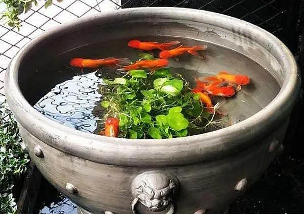 【20200815】我的2020,一脸懵逼