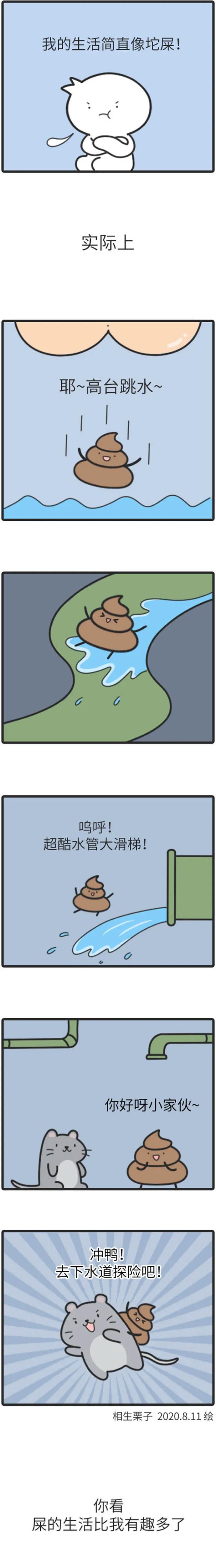 【20200815】我的2020,一脸懵逼