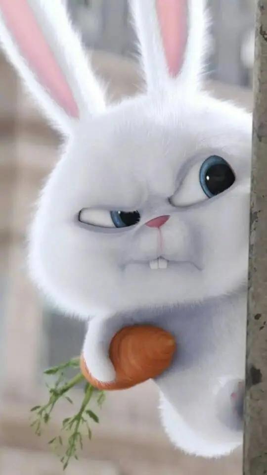 【20200814】持续接受新事物，就不太会感受到年龄增长的焦虑