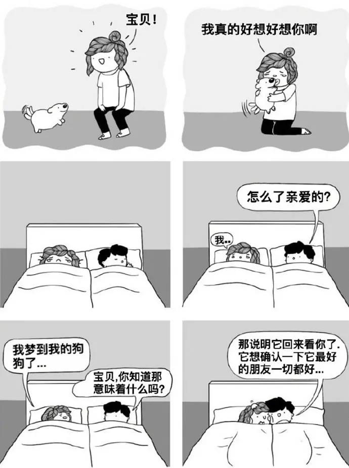 【20200814】持续接受新事物，就不太会感受到年龄增长的焦虑