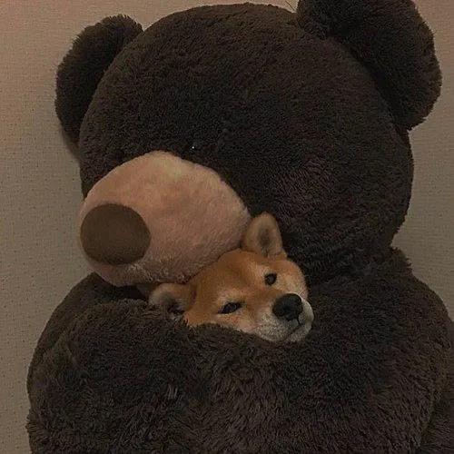 【20200814】持续接受新事物，就不太会感受到年龄增长的焦虑