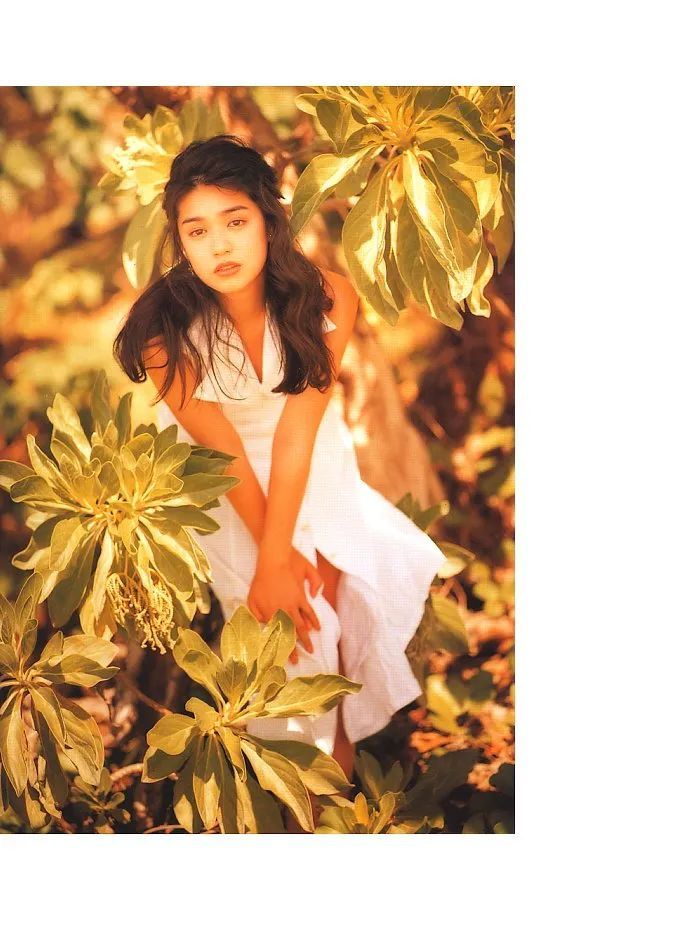 加藤纪子「Storm」