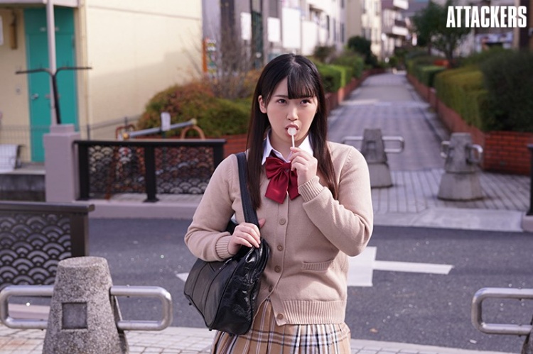 美园和花(Misono-Waka)经典作品封面合集（附品番）