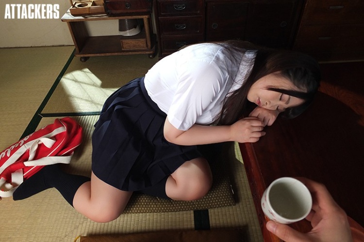 美园和花(Misono-Waka)经典作品封面合集（附品番）