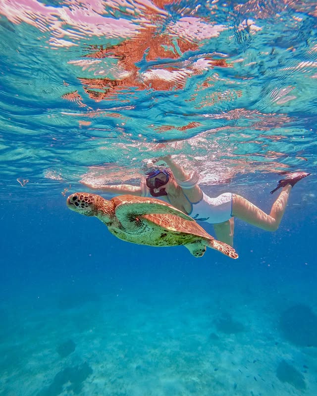 美女网红《金敏京 김민경》跟水獭戏水「遭突击袭胸」过程全都录！