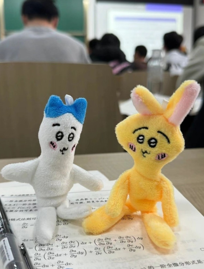 网购《吉伊卡哇》没看清货源收到「超消瘦吉伊卡哇」！网友：意外越看越可爱？